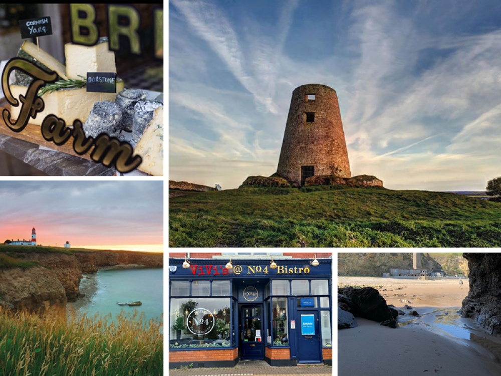 collage of images