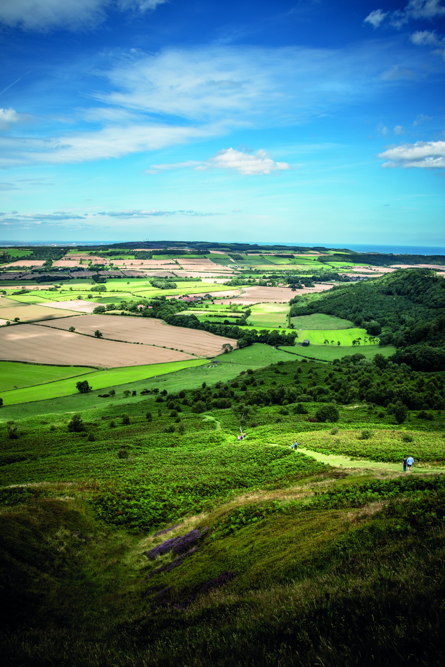 Roseberry Topping and Captain Cook, Dan May