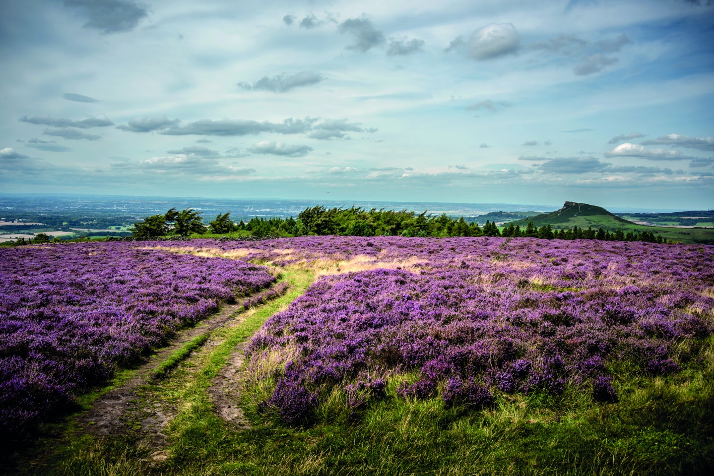 Roseberry Topping and Captain Cook, Dan May