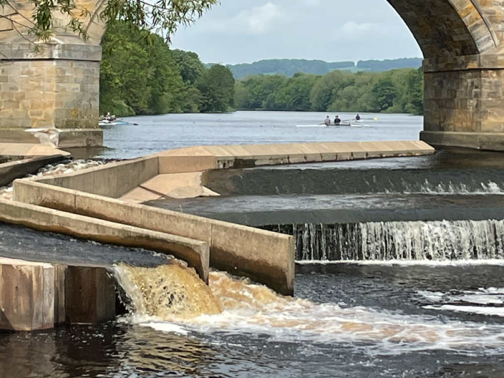 Hexham Tyne Green Country Park