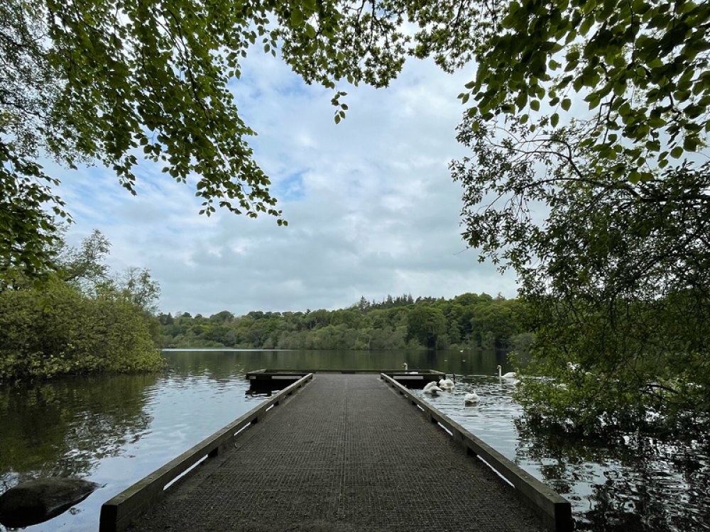 Bolam Lake Country Park