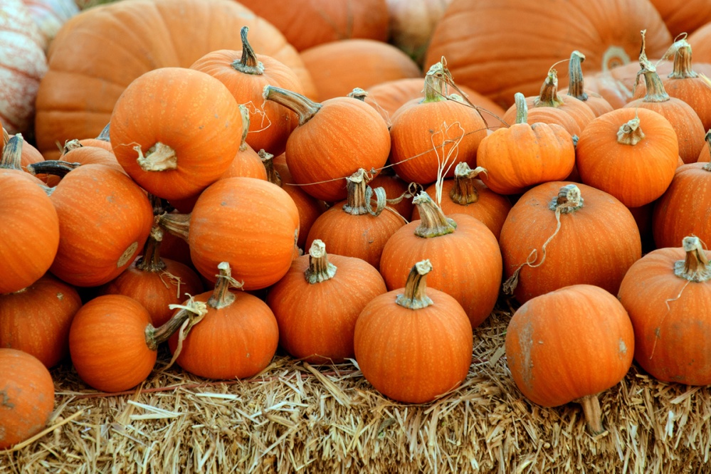 Pumpkins