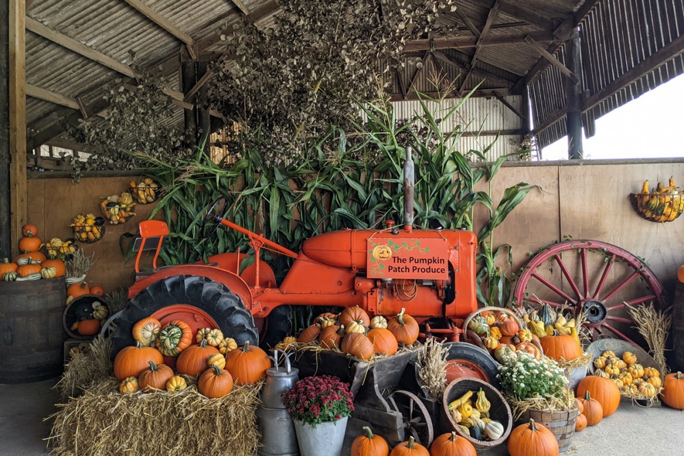 The Pumpkin Patch Produce