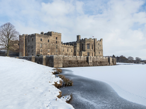 Review: Exploring Raby's Enchanted Wonderland The Plotters' Forest