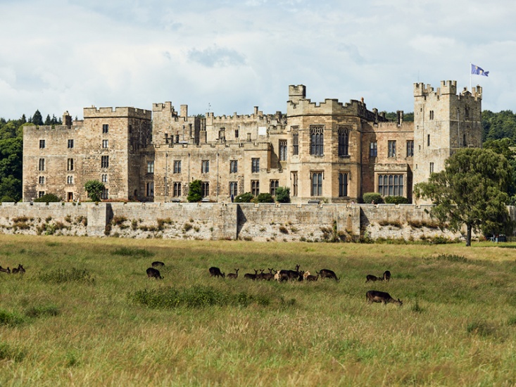 What's New at Raby Castle for 2025