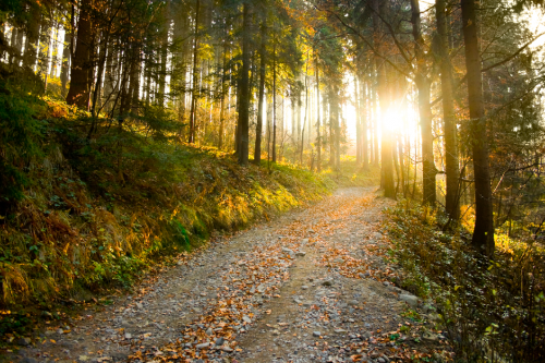 5 Great Hiking Trails in the North East