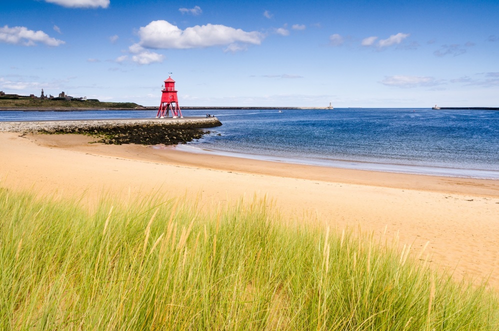 Seascapes is a New Project Aiming to Protect Our Marine Environments