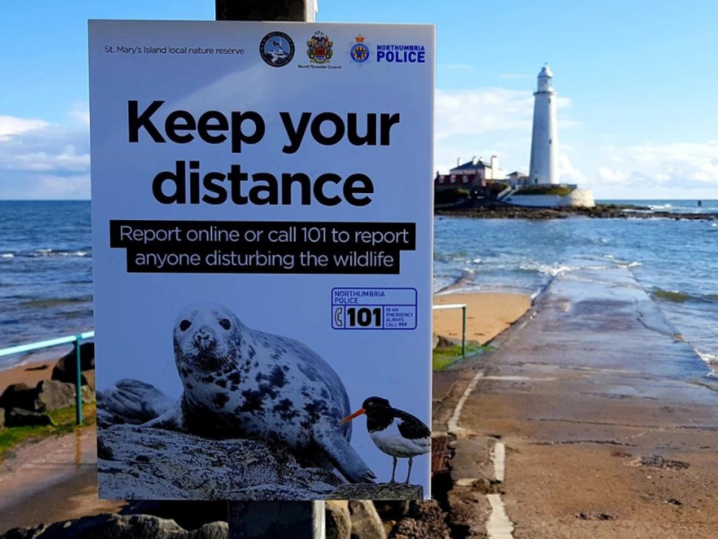 St Mary's Island Wildlife Conservation