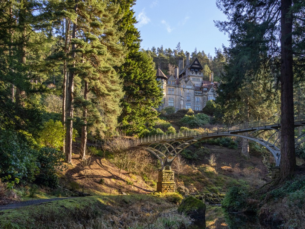 Cragside Gun Walk