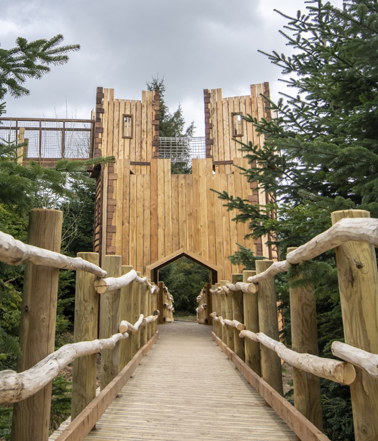 The Plotters' Forest