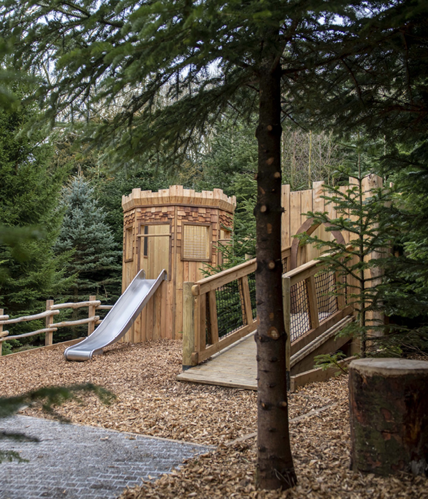 The Plotters' Forest