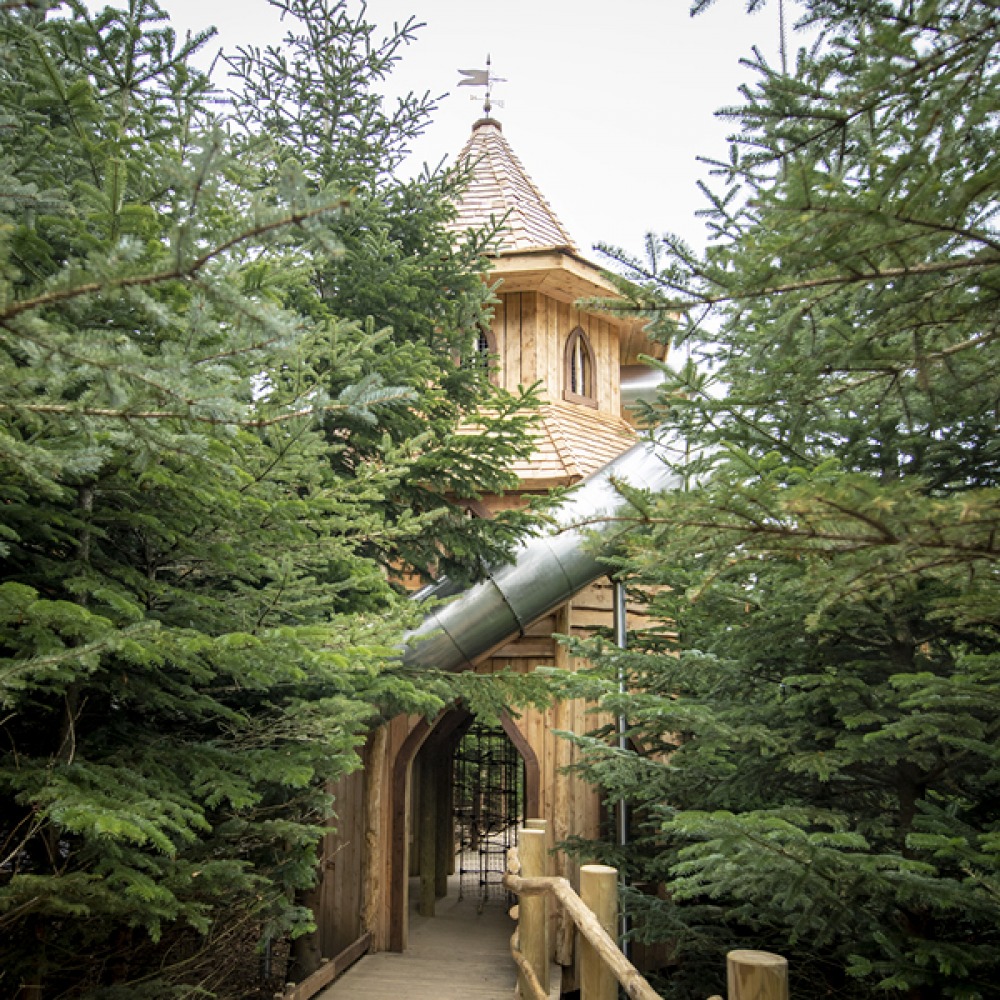 The Plotters' Forest