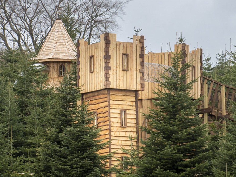The Plotters' Forest