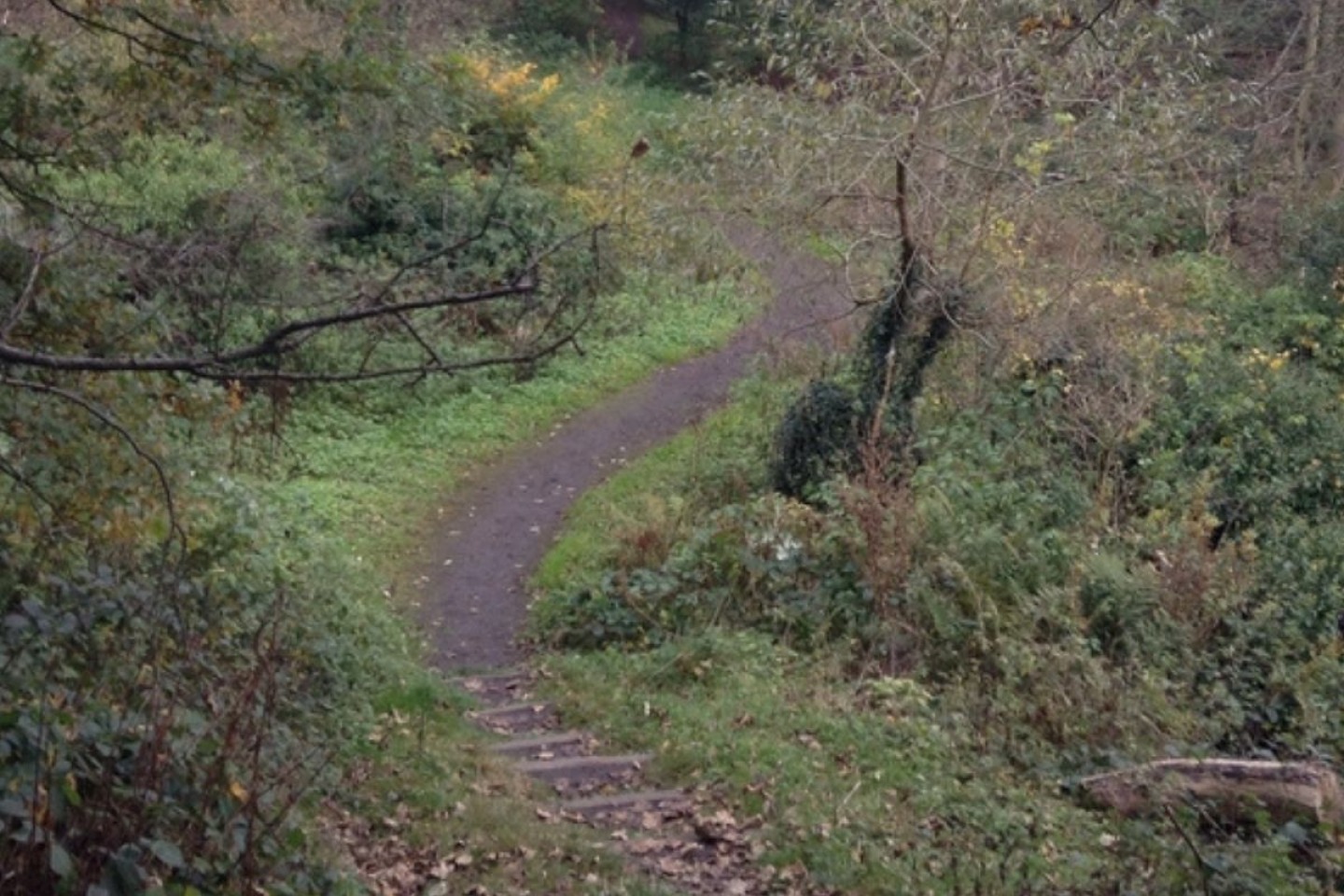 Flass Vale, Durham
