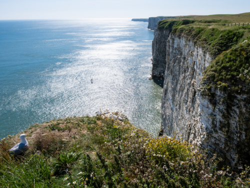 Discover the North of England's Wild Summer