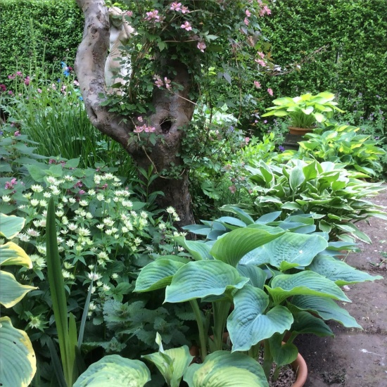 115 Millhouses Lane, Sheffield