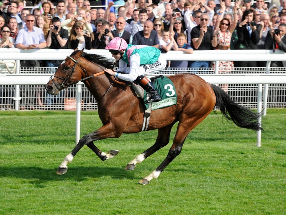 Jockey racing a horse