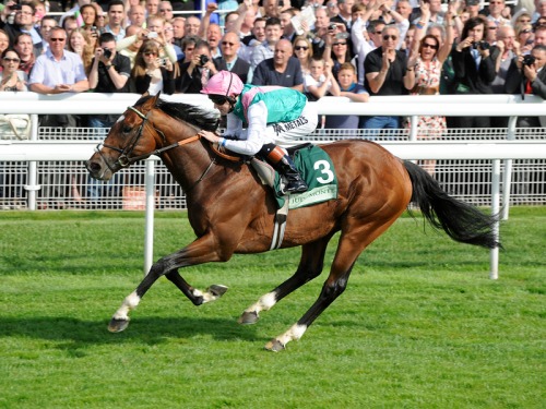 In Conversation with York Racecourse’s James Brennan