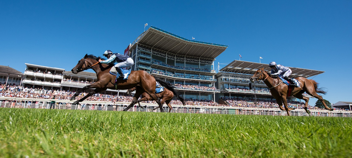 racing at York Racecourse