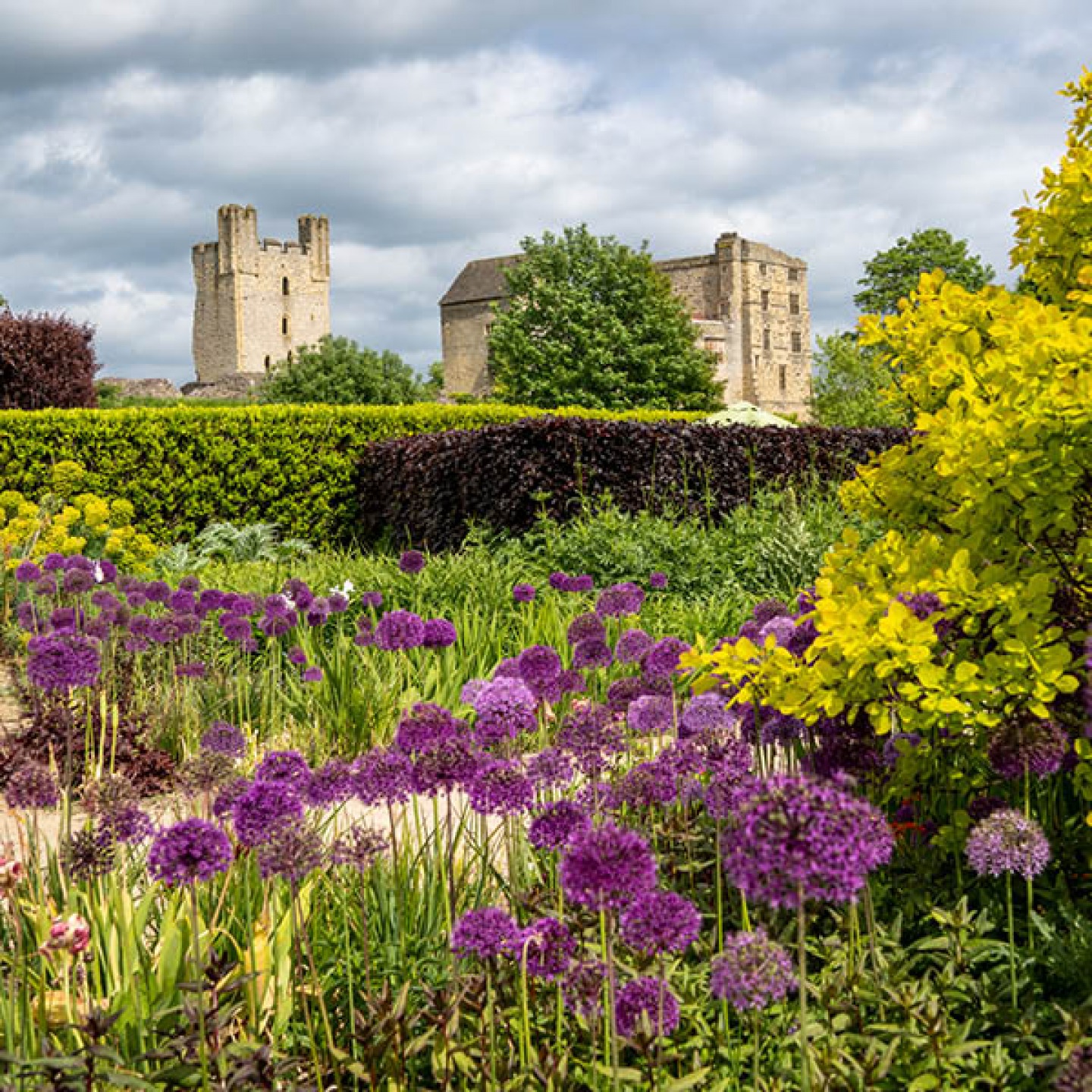 Helmsley Castle Walled Gardens