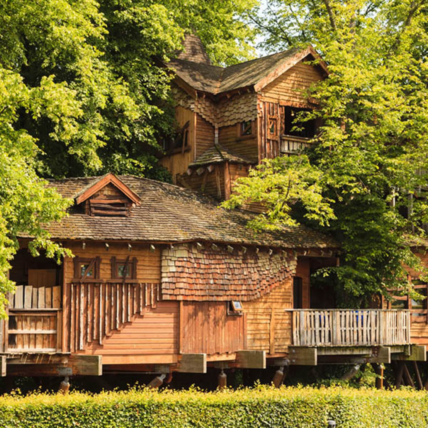 The Treehouse in Alnwick Garden