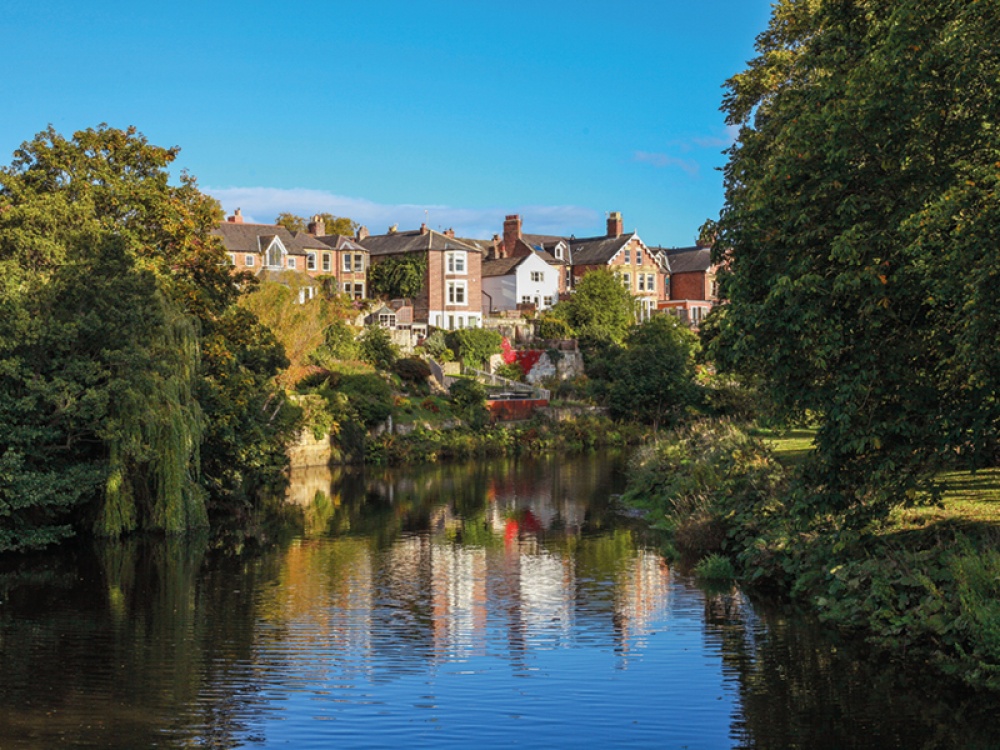 river with trees and houses surrounding it