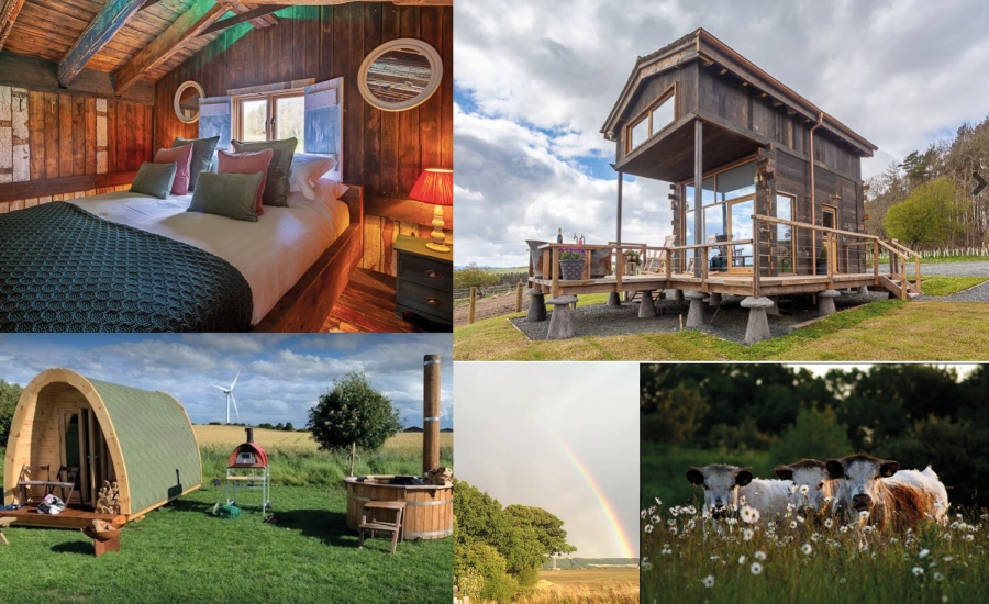 Where to Camp and Glamp this Summer