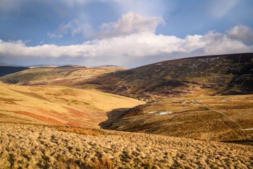 Winter Walks: The Cheviot