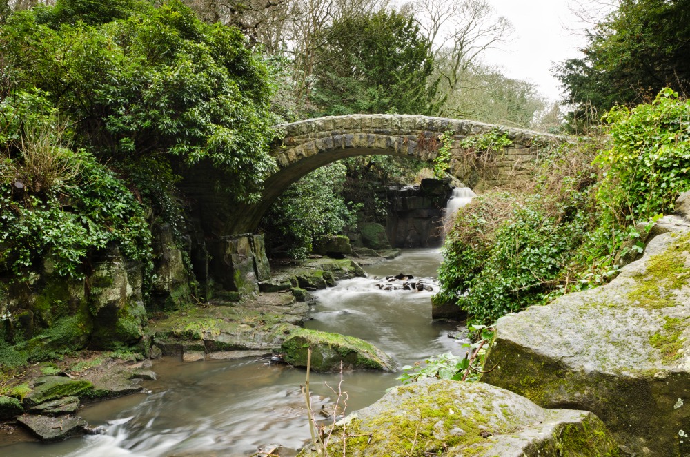 North East's Finest Dog-Walking Spots