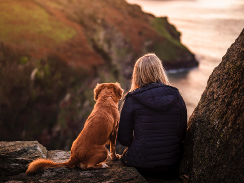Nine Great Dog Walks Across the North East and Yorkshire