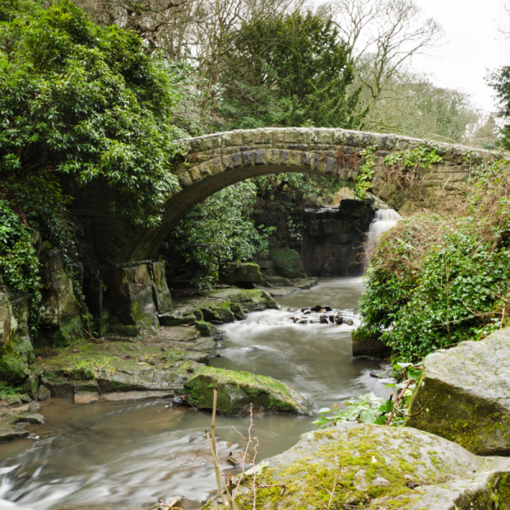 Jesmond Dene