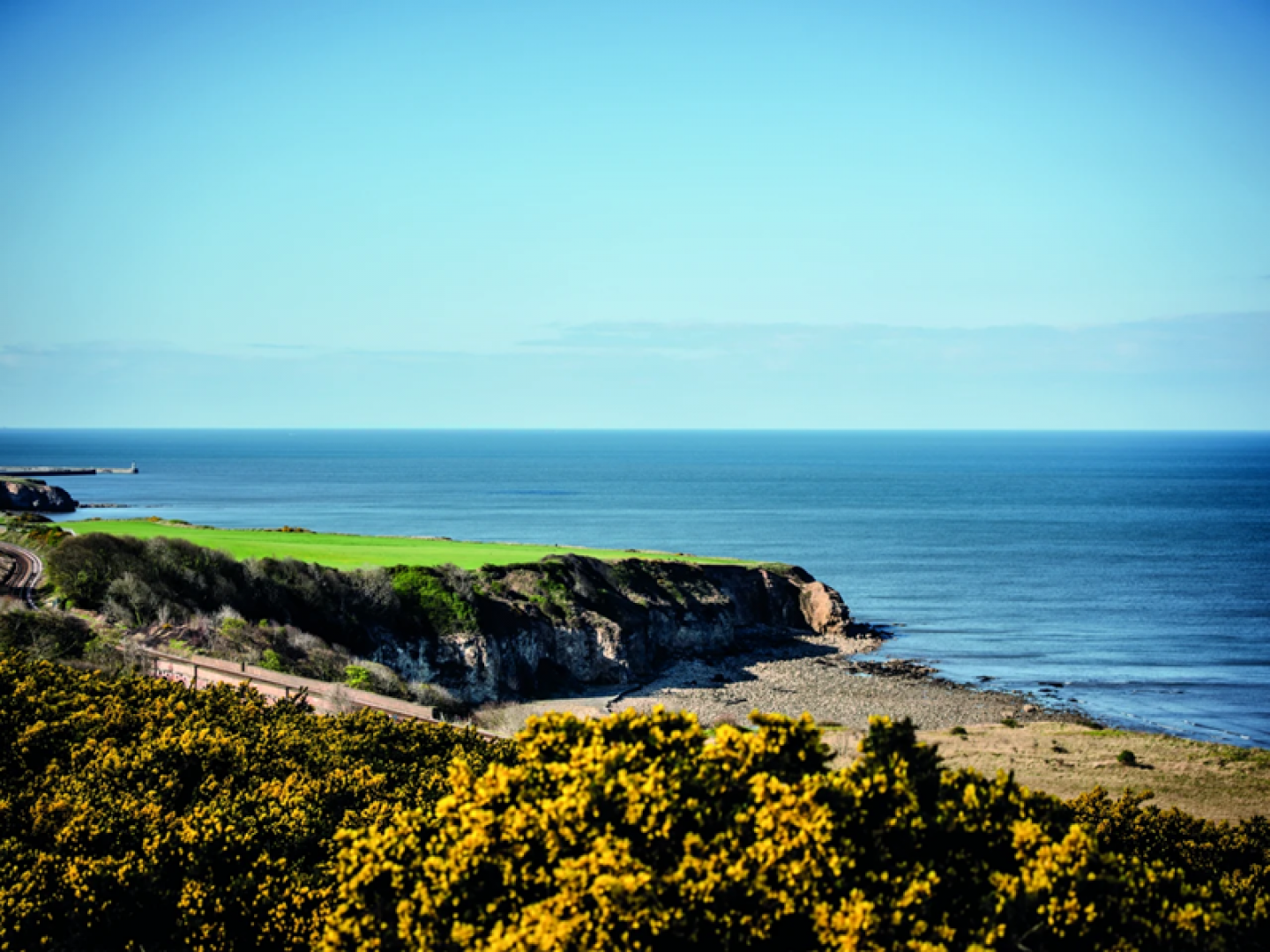 Durham Heritage Coast, Dan May