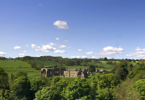 Hang Out Here: Barnard Castle