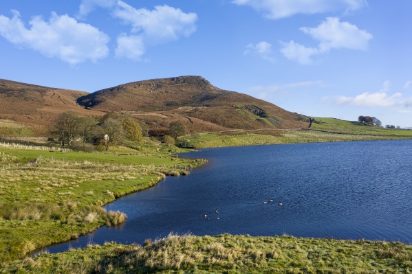 Grahammoore999/Dreamstime