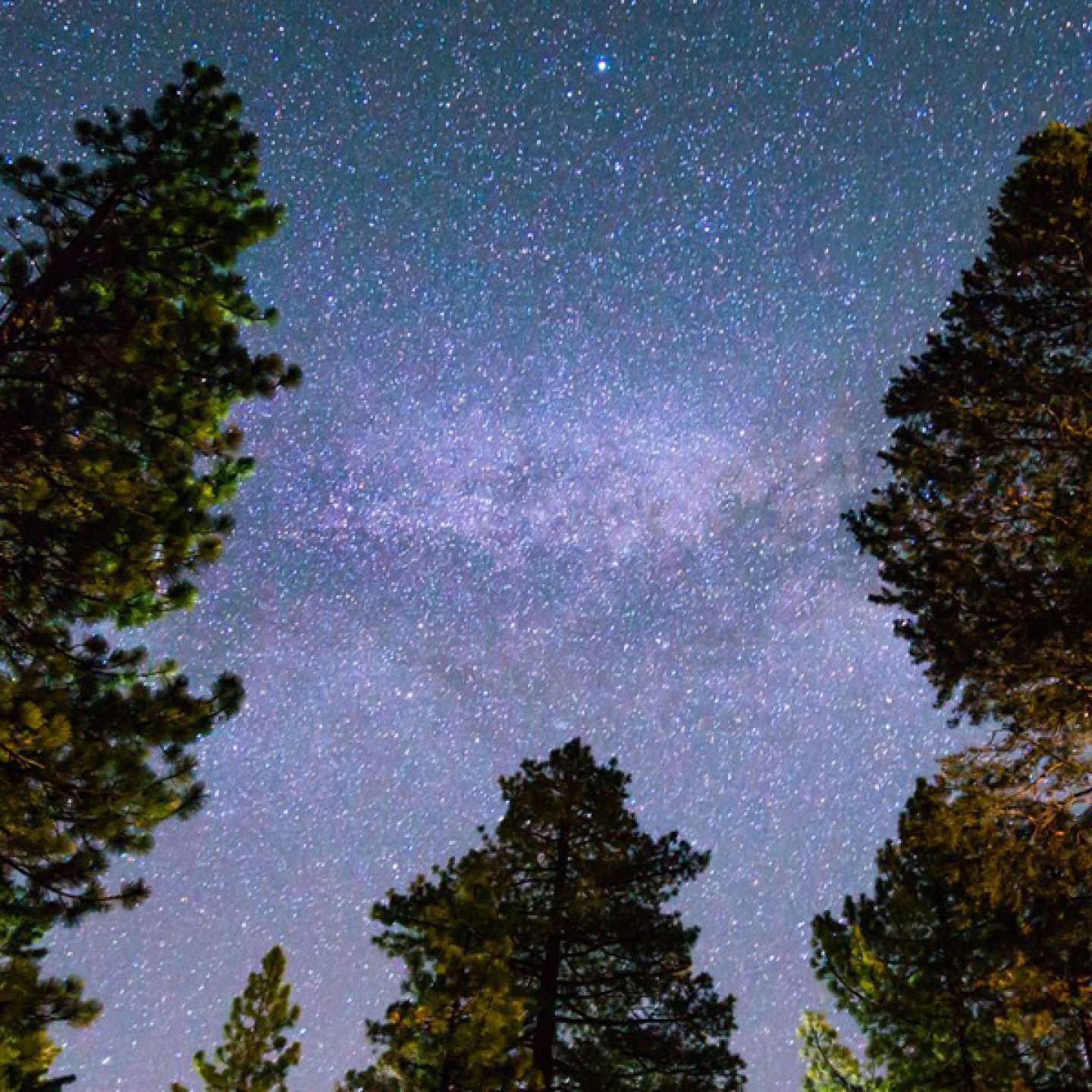 stargazing