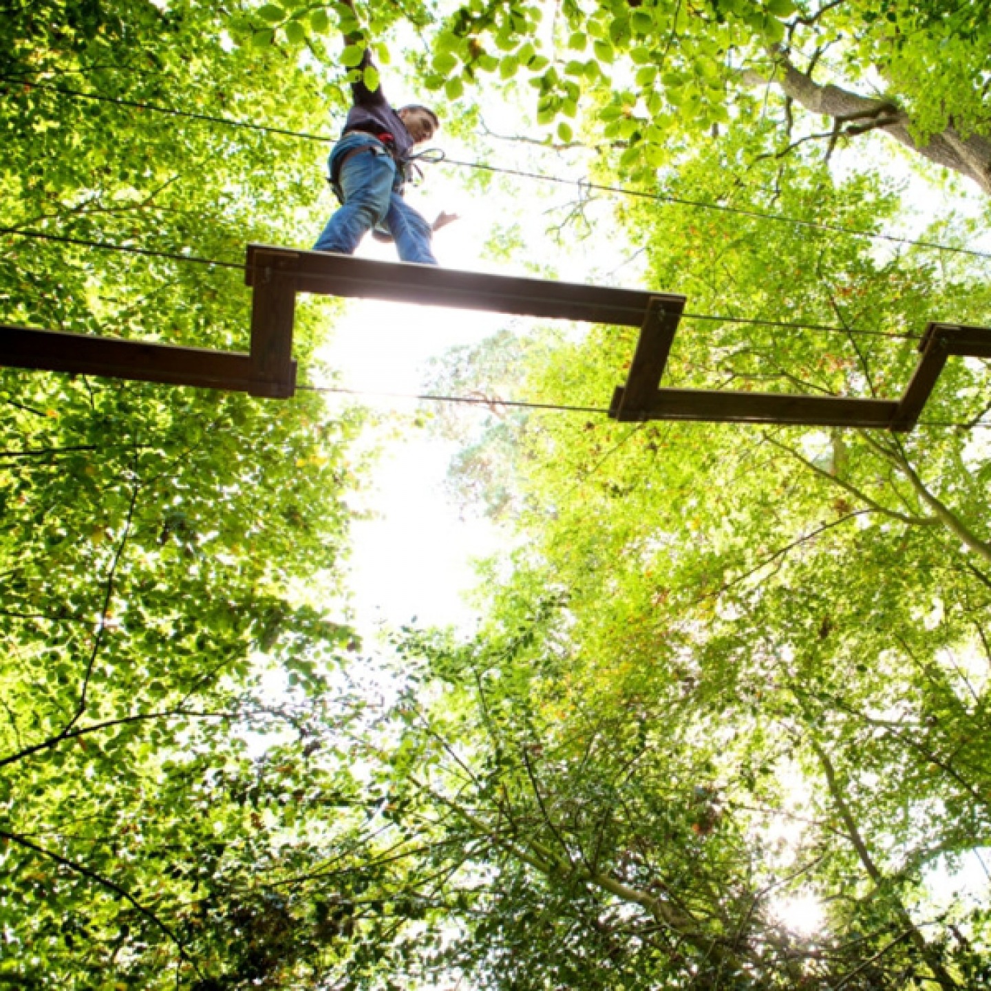 go ape