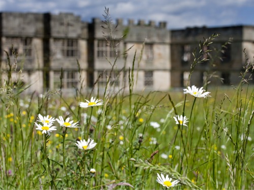 Gibside’s Surprising Secrets