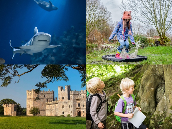 Top Activities to Tick Off this Half Term