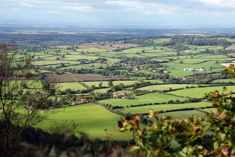 #DiscoverHambleton