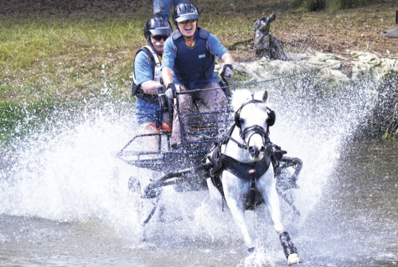 Horse Driving, Bywell Estate