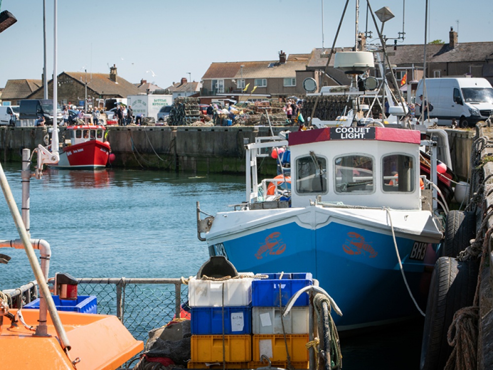 boats in a harbour