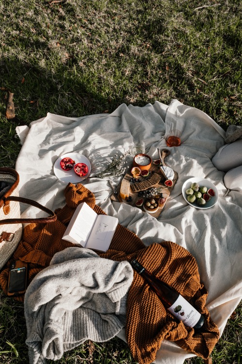 How to Plan Your Perfect Picnic