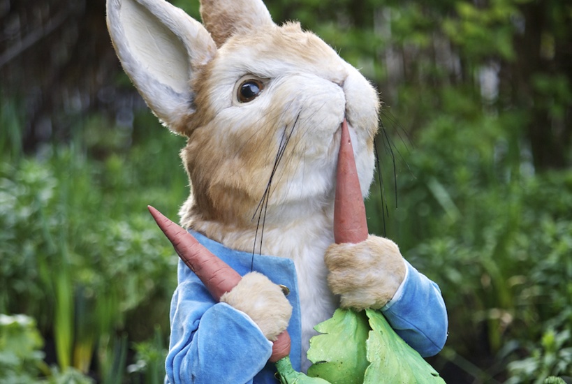 Peter Rabbit - Steve Barber