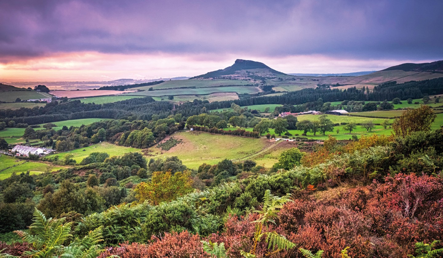 мурс. вересковая пустошь фото в англии. мурс. вересковая пустошь. северный йорк мурс.