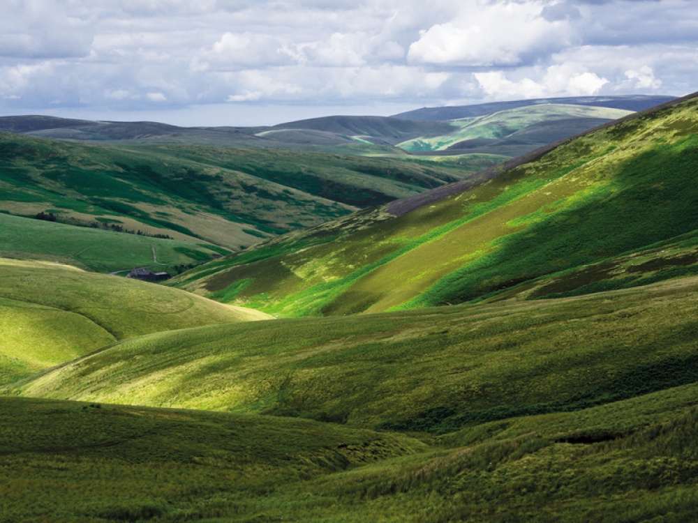 rolling hills
