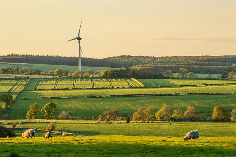 Susan Rowe Captures the Countryside with her Photography