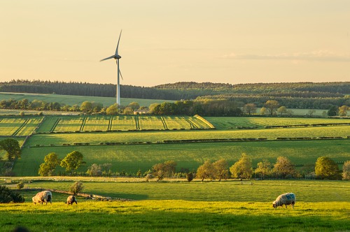 Susan Rowe Captures the Countryside with her Photography