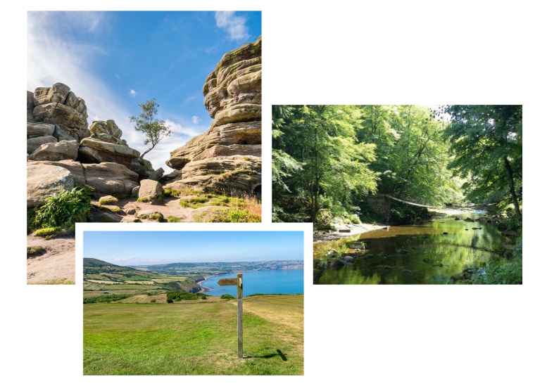 The Most Picturesque Spots To Enjoy A Picnic