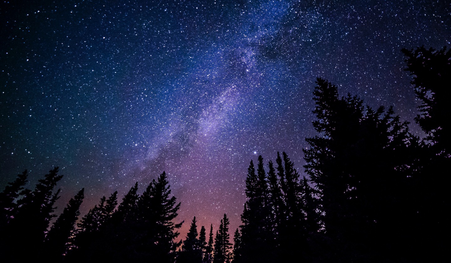night stay with stars
