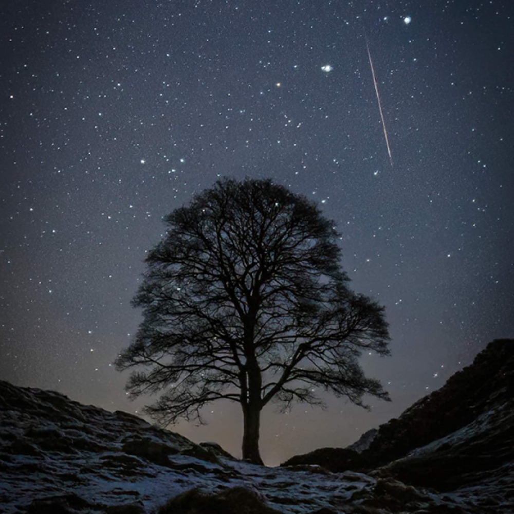 night sky with a shooting star